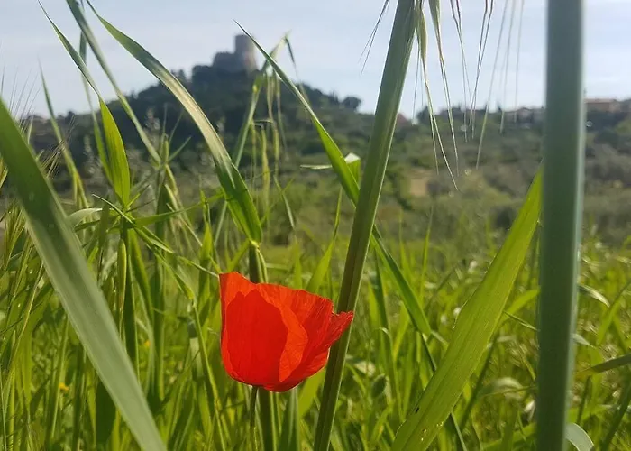 La Casina Di Nonna Giulia