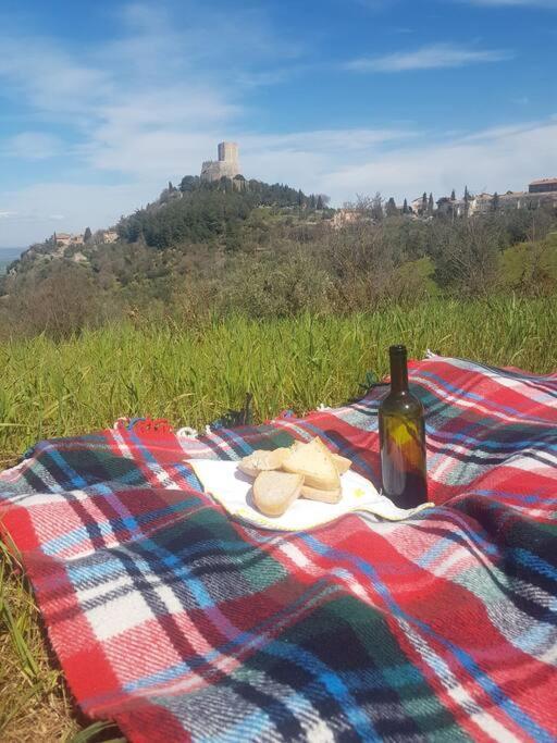 La Casina Di Nonna Giulia Apartment *