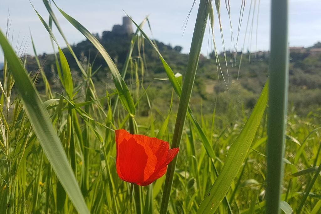 La Casina Di Nonna Giulia