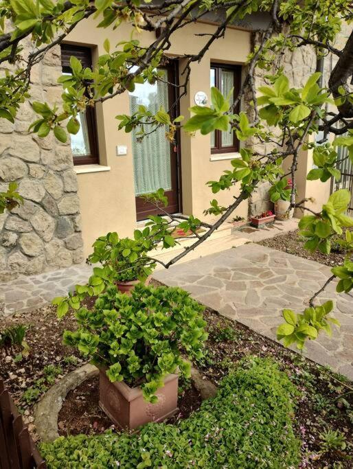 La Casina Di Nonna Giulia Apartment *