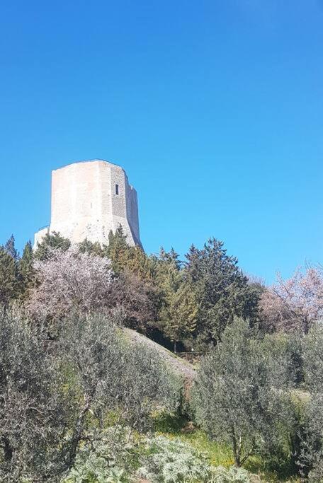 La Casina Di Nonna Giulia *