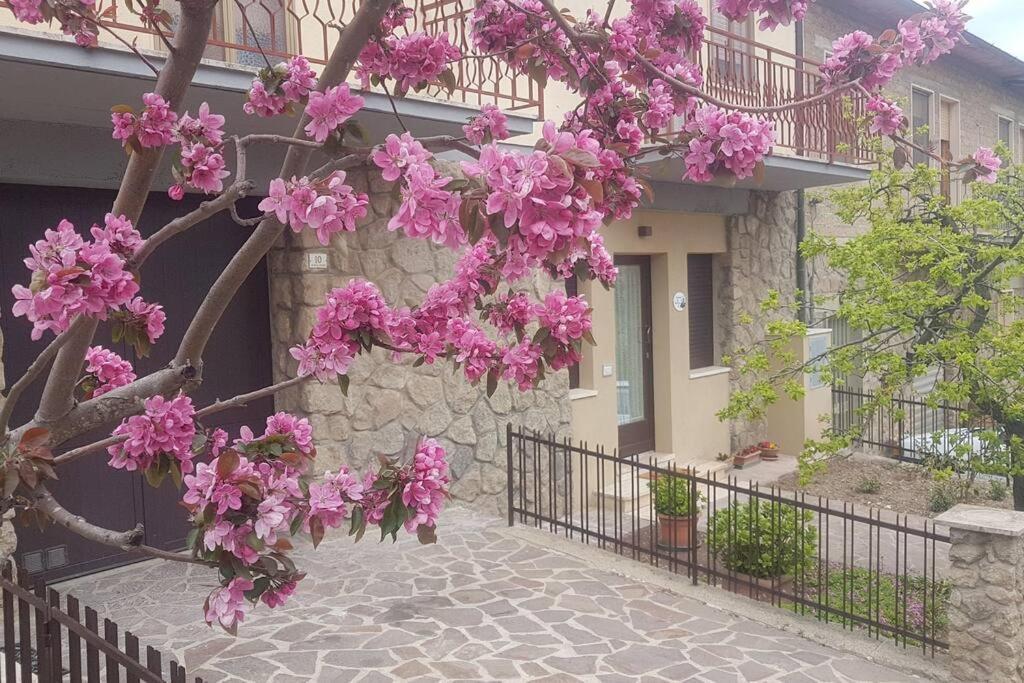 La Casina Di Nonna Giulia Apartment *